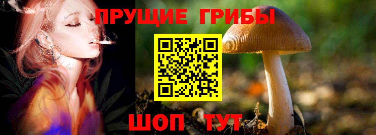 Галлюциногенные грибы GOLDEN TEACHER  Вход с VPN  Тихвин 